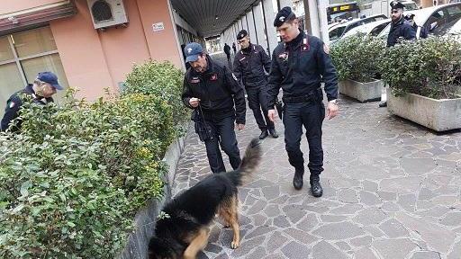 Controlli antidroga dei carabinieri (archivio)