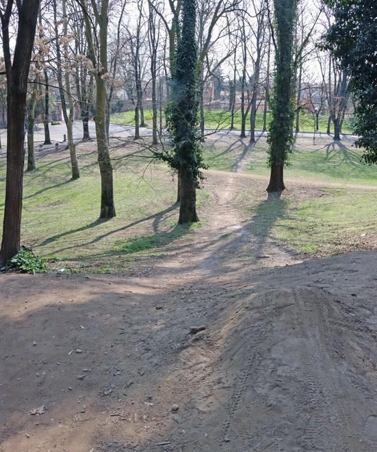 Ciclista contro un albero. Un bike park pericoloso 