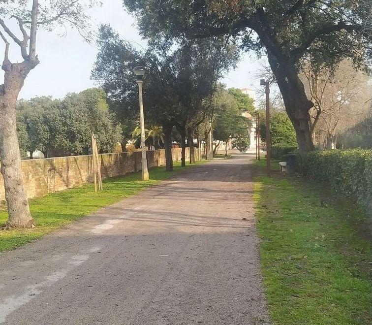 Paura sulle Mura Proprietaria di cani cerca compagnia 