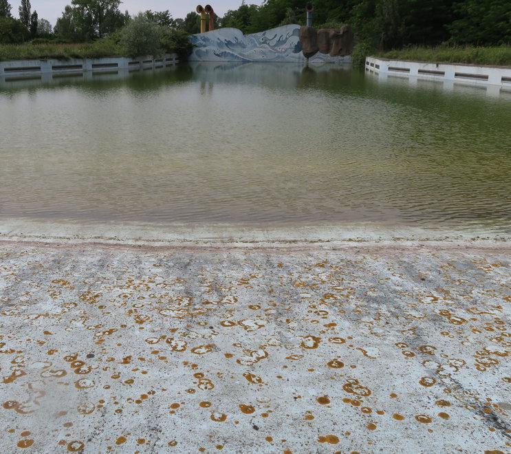 Jo Lido, storia del parco acquatico ormai sepolto dalla vegetazione 