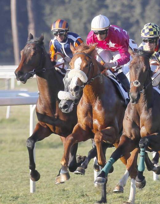 I fantini hanno detto stop «Pista pericolosa in curva» San Rossore ferma le corse