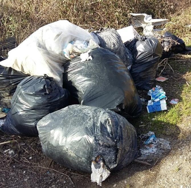 Rimossi i rifiuti, ma la lotta è impari Fiumi e campi utilizzati come discariche 