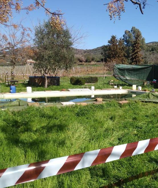 Morta nella piscina Sentiti i soccorritori 