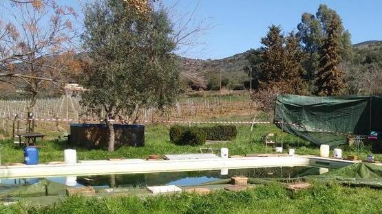 Morta nella piscina Sentiti i soccorritori