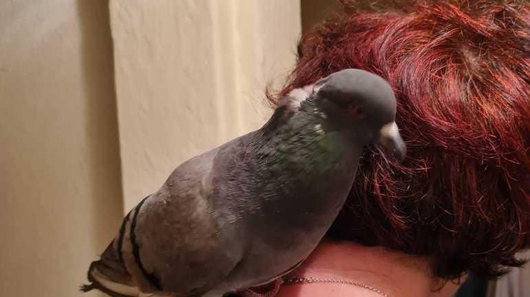 La piccioncina sulla spalla della sua amica Donella