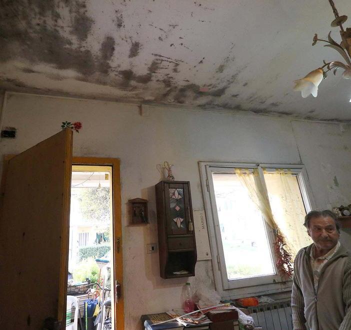 Muffa alla casa popolare «Tenga aperte le finestre»