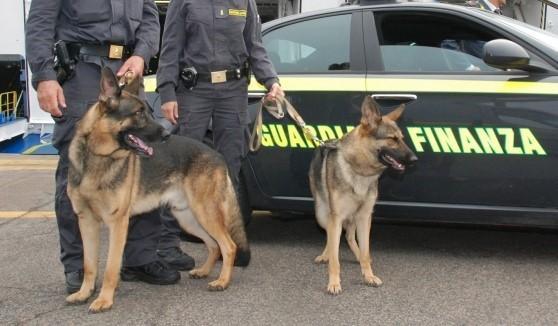 Pisa, controlli antidroga  con sequestro di metadone
