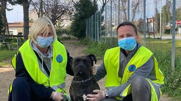 Quando il padrone è positivo al virus il cane lo portano a spasso i volontari