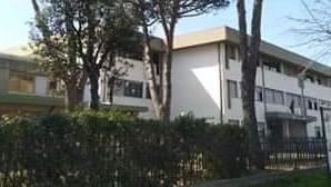Processionaria si disinfestano domani 9 scuole