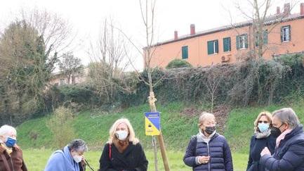 Un secolo Soroptimist buona occasione per piantare 2 tigli