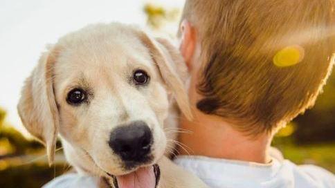 Compie vent’anni il progetto massese “Un cane in famiglia”