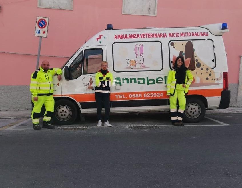 E in tempi di Covid i volontari portano a spasso i pelosi dei pazienti malati 