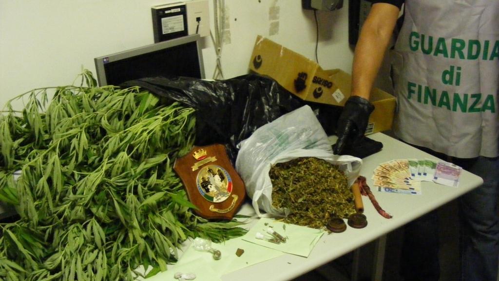Marijuana sequestrata dalla Guardia di finanza (Foto d'archivio)