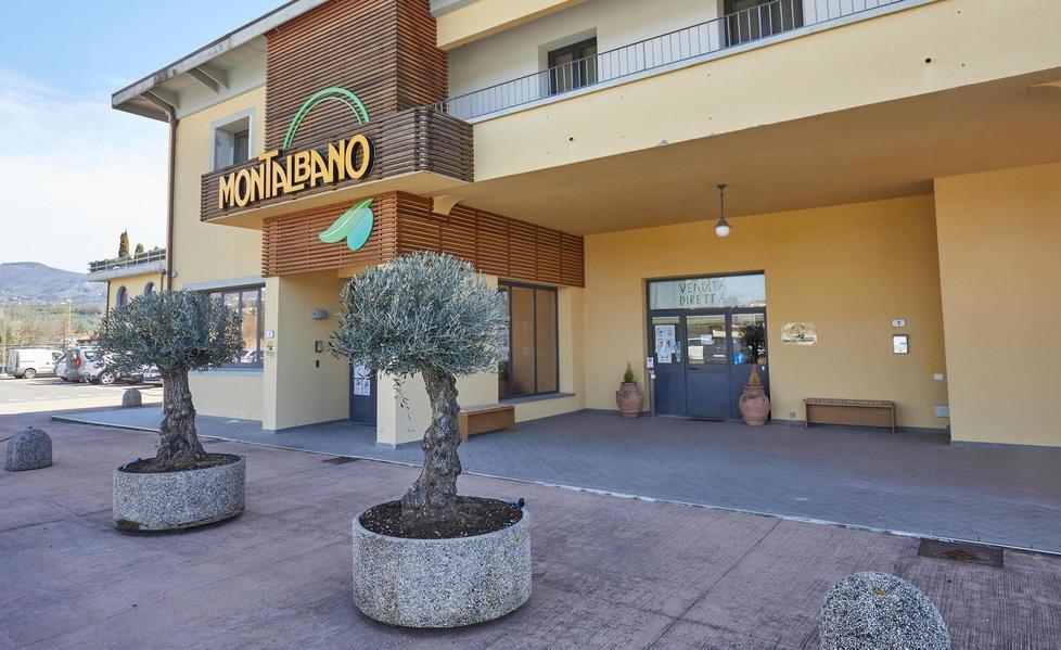 Nuovo colpo al Montalbano, rubati oltre 26mila litri di olio 