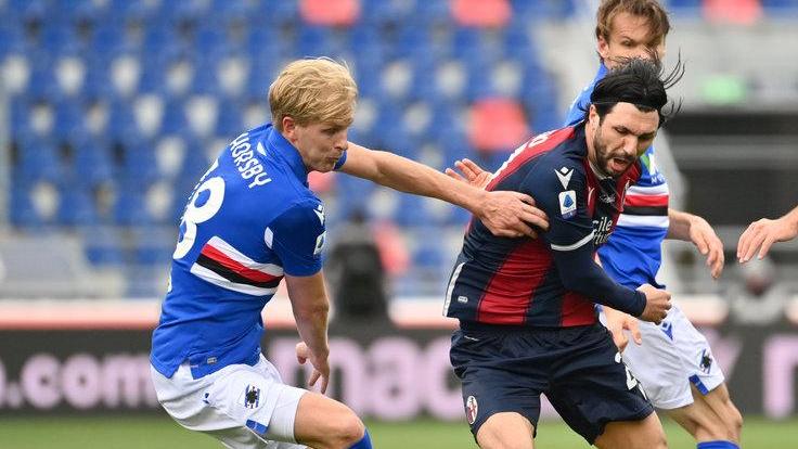 Bologna si scopre cinico