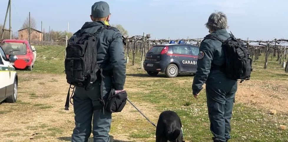 Esche avvelenate Bonifica immediata con i volontari 