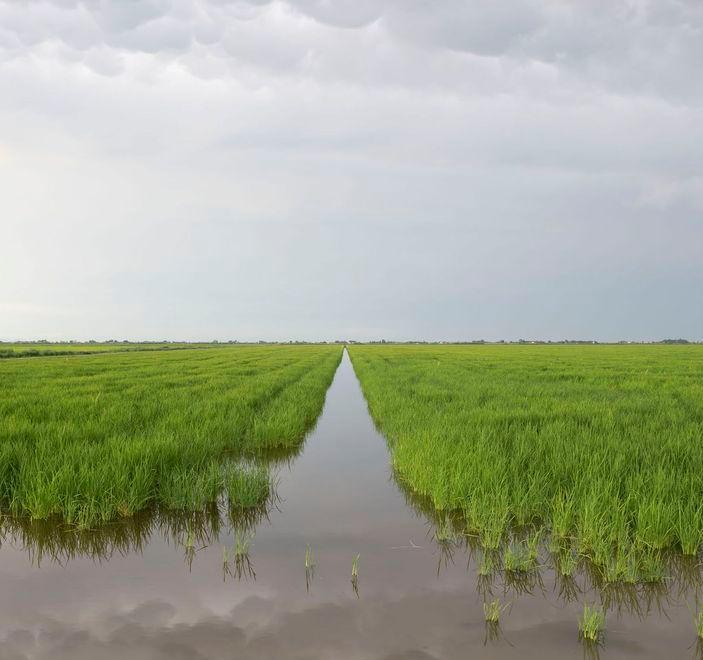 Le campagne emiliano romagnole De Pietri, un anno e duecento foto