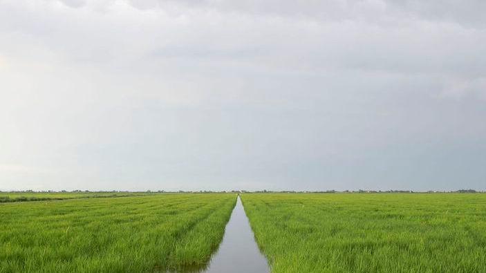 Le campagne emiliano romagnole De Pietri, un anno e duecento foto