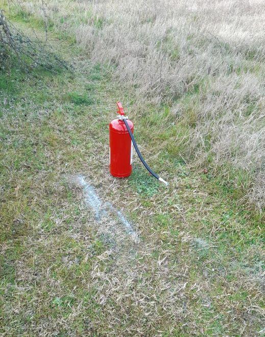 Vandali all’asilo nido di Formignana: sfondano una vetrata poi prendono un caffè 
