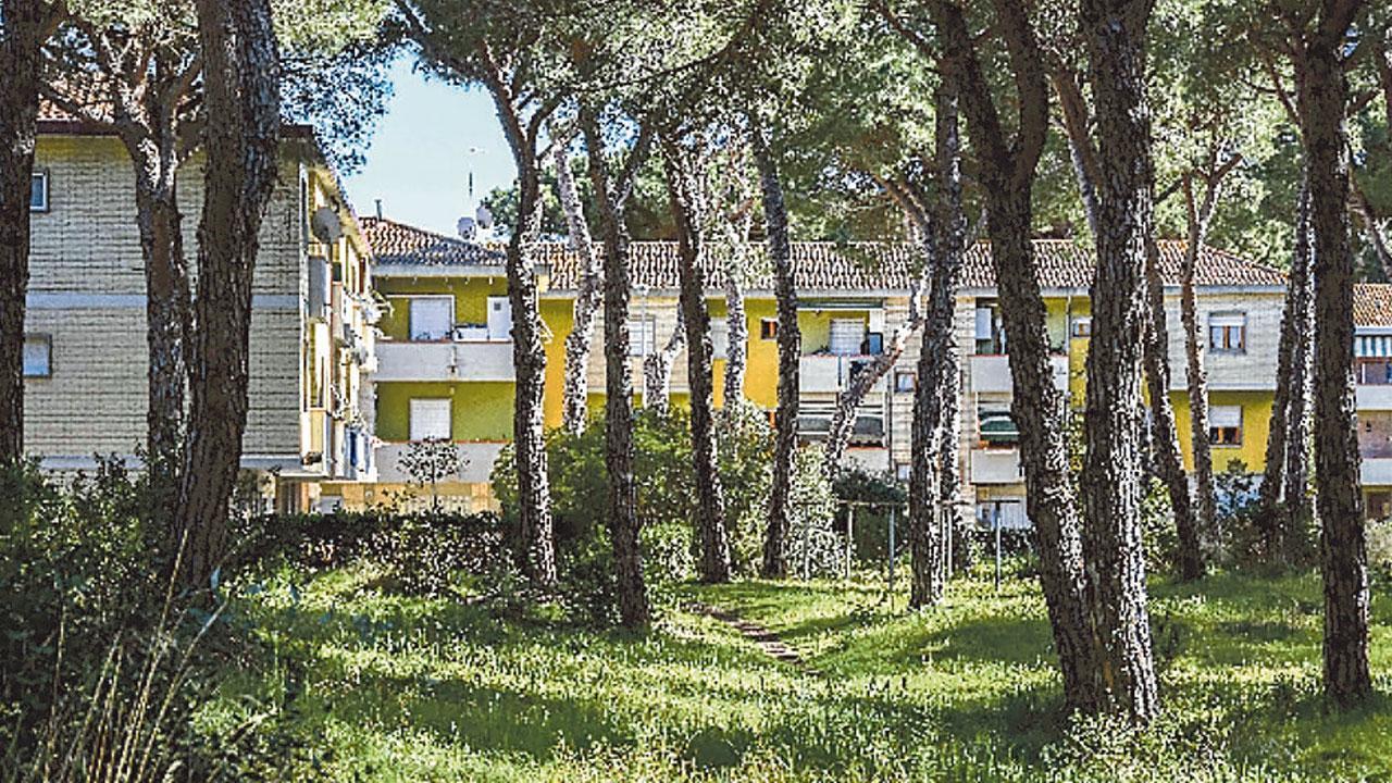 La zona di via Bramante a Marina di Grosseto (Foto Agenzia Bf)