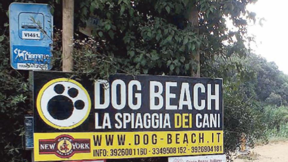 Tangenti a San Vincenzo, la spiaggia dei cani al centro dell'inchiesta: quei bandi definiti “copia e incolla”