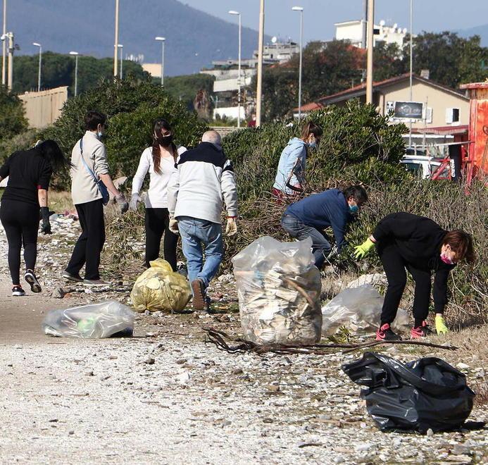 “Cuore Verde apuano” adesso pulisce la pineta di CarraraFiere 