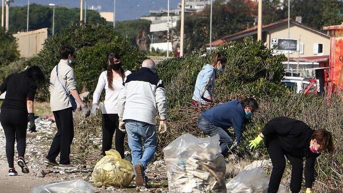 “Cuore Verde apuano” adesso pulisce la pineta di CarraraFiere