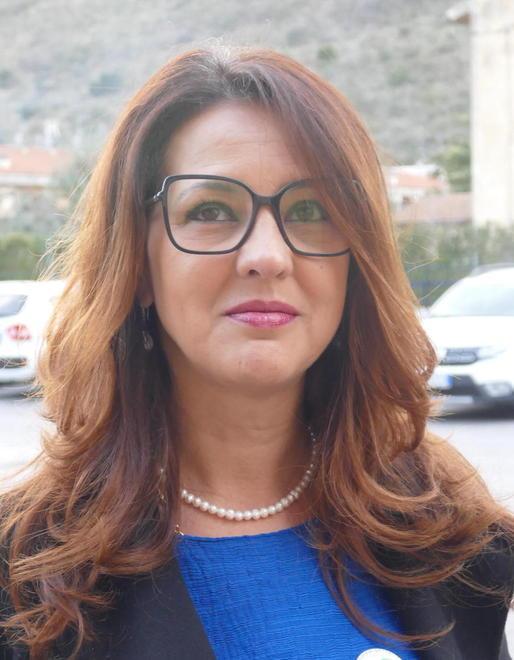 Appello agli scontenti «Facciamo cadere il sindaco Borghini» 