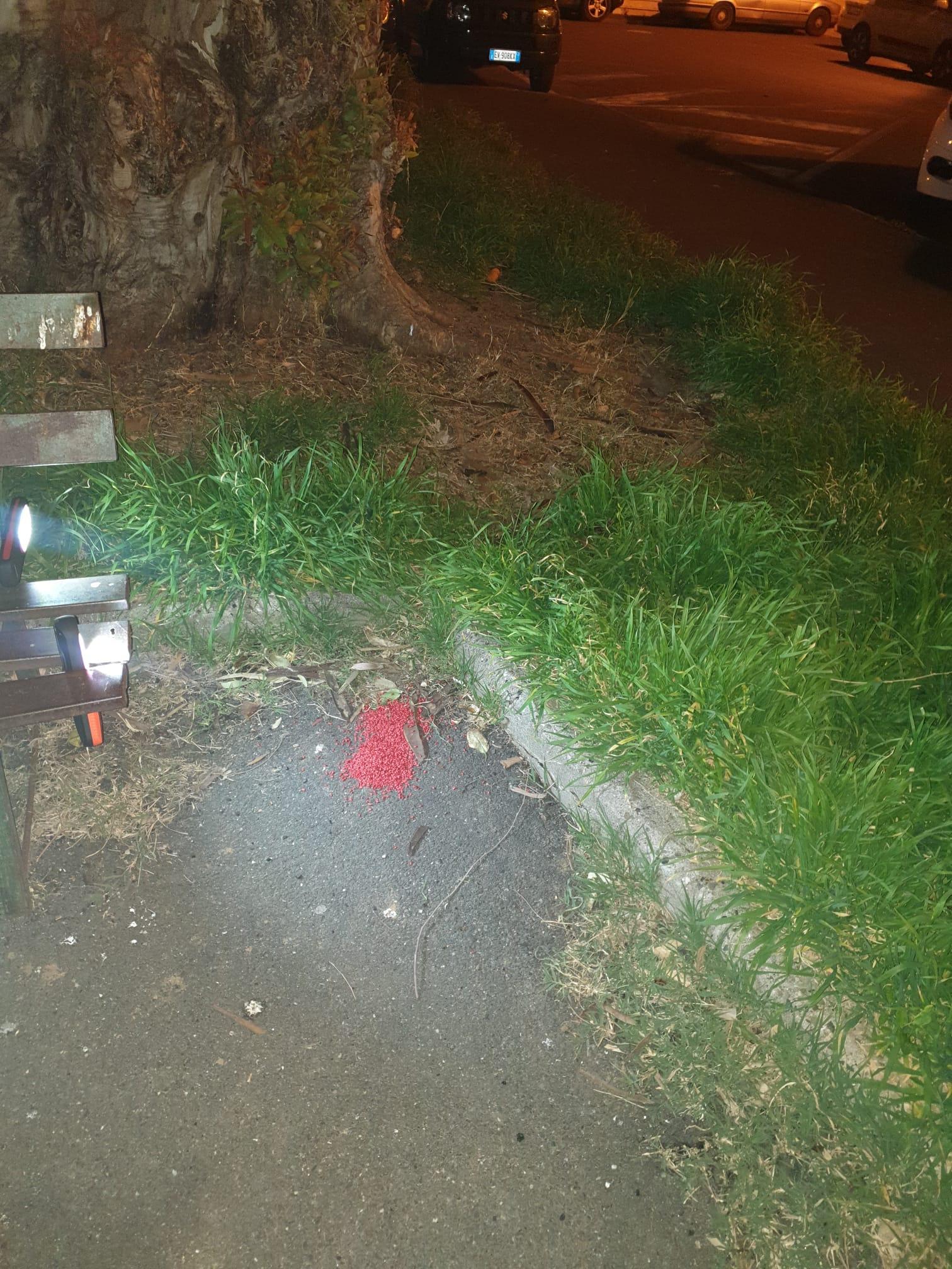 Il veleno per topi trovato in piazza Giovanni Maria Lavagna