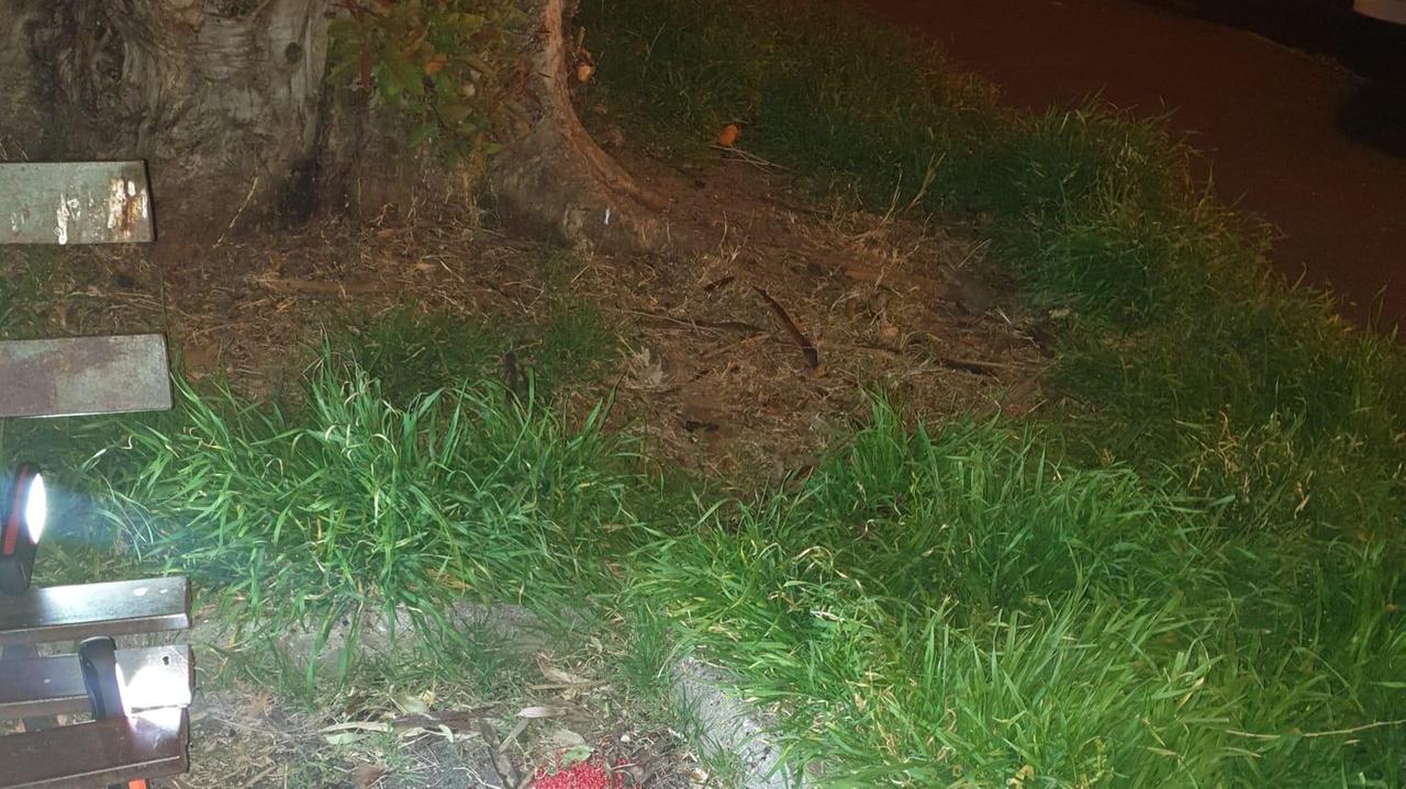 Il veleno per topi trovato in piazza Giovanni Maria Lavagna
