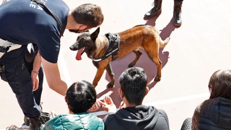 Modena. Pit, il cane antidroga diventa “cucciolone” per ragazzi con disabilità