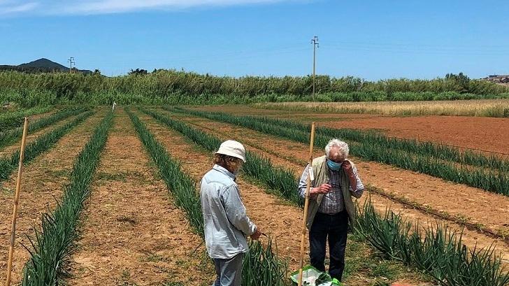 Un progetto di tutela per le antiche varietà ortofrutticole elbane