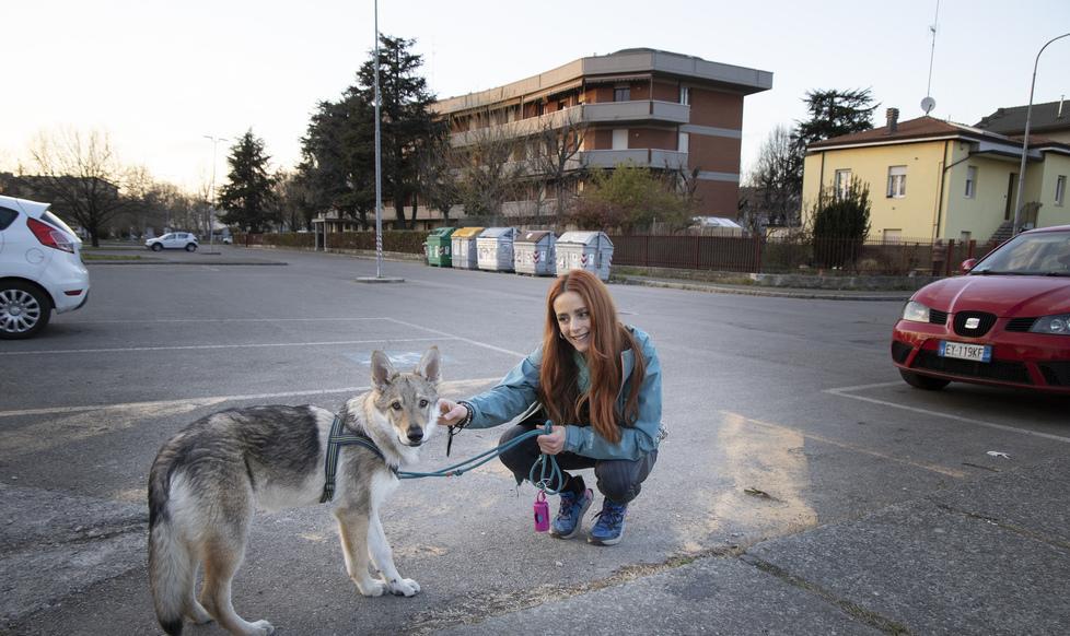 Modena, viaggio tra i parchi di esche avvelenate «Chi ha cani è attento, ma abbiamo paura» 
