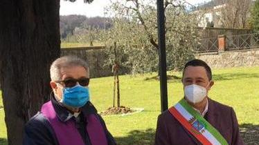 Il giardino della memoria Dieci ulivi per ricordare le vittime della pandemia