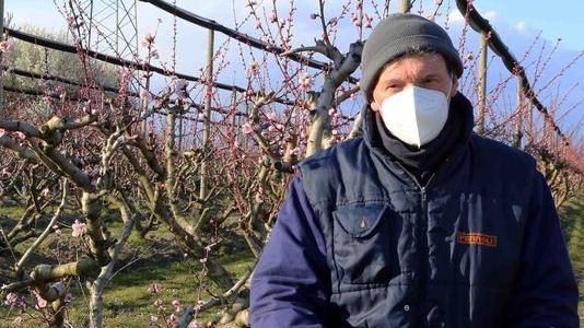 Fuochi contro le gelate «Così salviamo il raccolto»