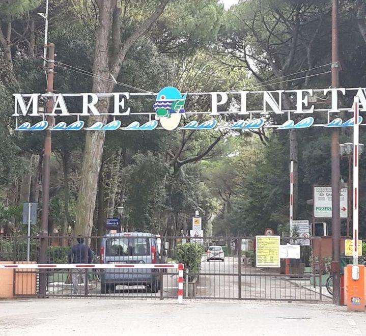Schiacciato al camping da un bobcat Udienza: altro rinvio