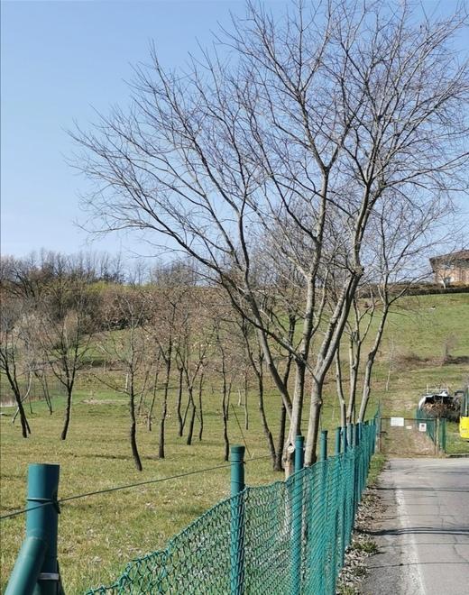 È nato il telegiornale degli alluvionati tra notizie e satira