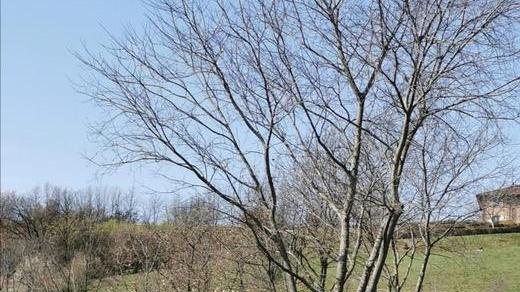 È nato il telegiornale degli alluvionati tra notizie e satira
