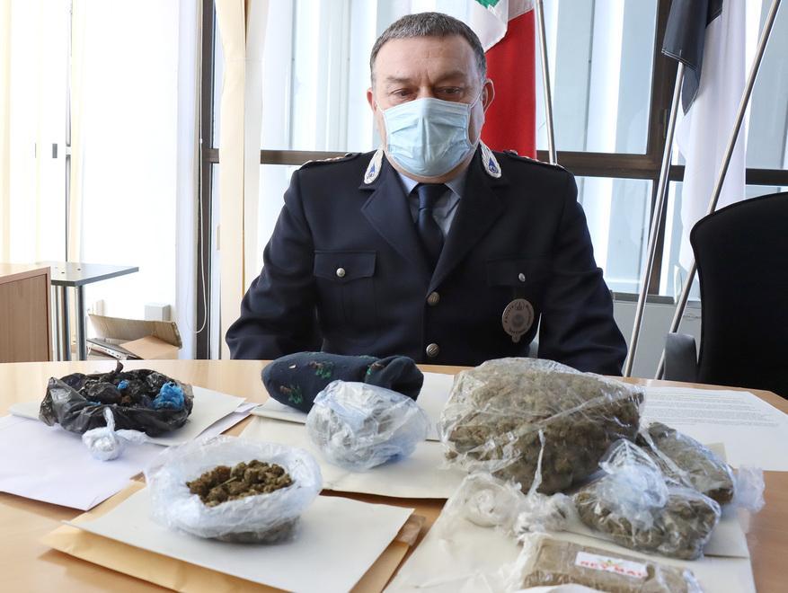 Ferrara, in 15 giorni trovato mezzo chilo di droga: in arrivo due nuovi cani-poliziotto 