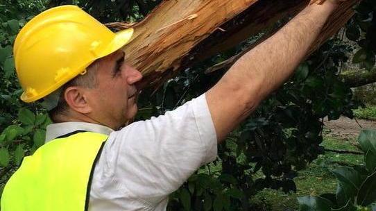 Morto a 57 anni l’agronomo Lunardini stroncato da un malore improvviso
