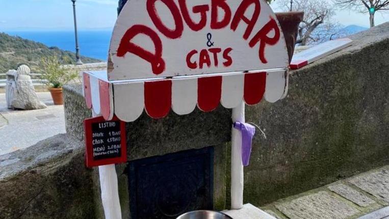 Cani e gatti vanno al bar davanti alla farmacia