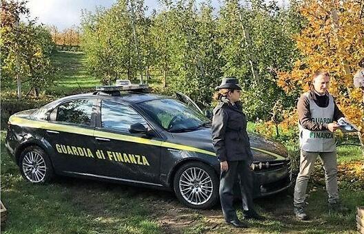 False società agricole: evasi 800mila euro 