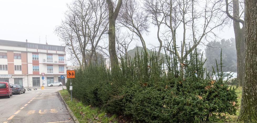 Regole partecipate per la manutenzione del verde pubblico 