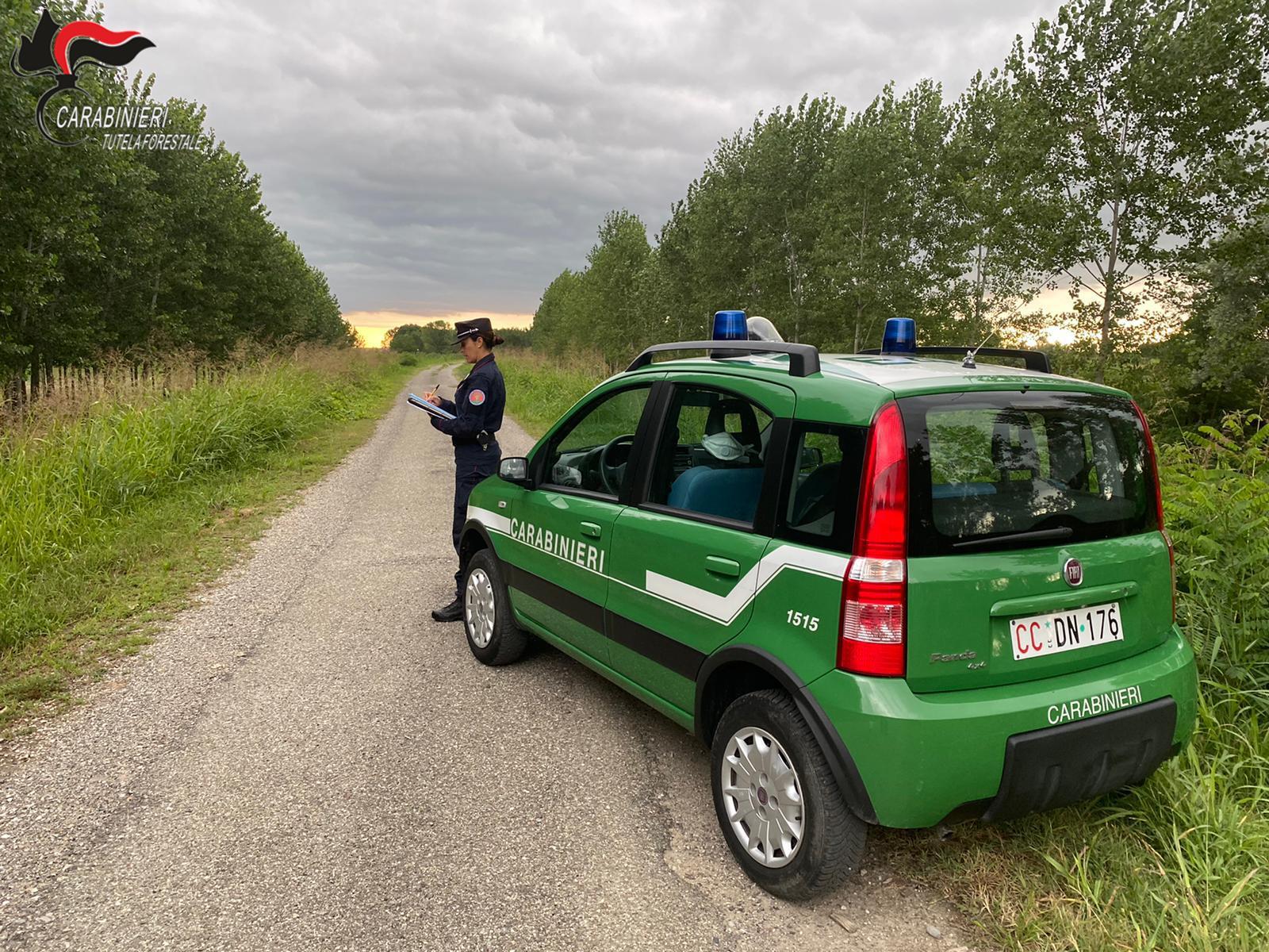 Materiali inerti stoccati in un campo senza autorizzazione, due denunciati