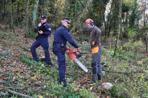 Al lavoro nel bosco ma da irregolare: due denunce
