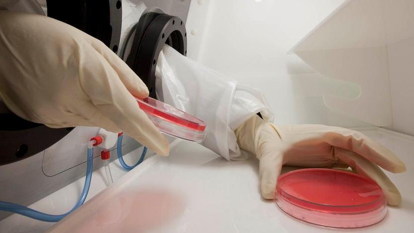 Una fase della sperimentazione clinica per la cura a base di anticorpi monoclonali