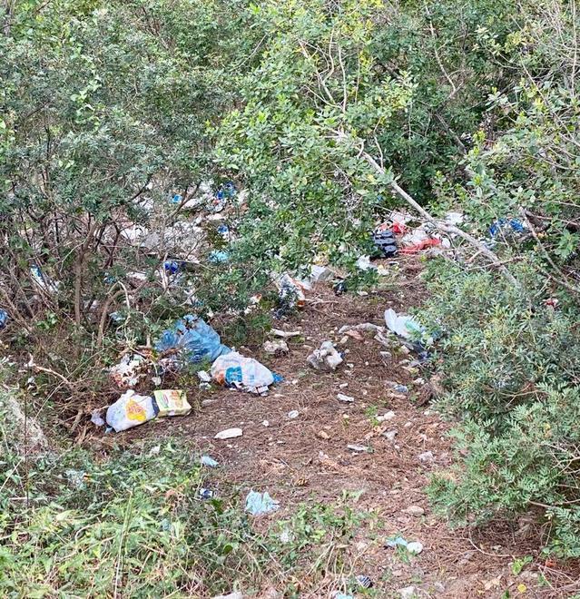 Rifiuti nella pineta ai piedi di San Piero