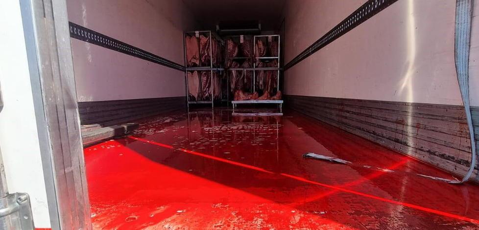 Sangue dal camion era carne trasportata senza norme igieniche 