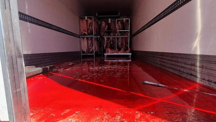 Sangue dal camion era carne trasportata senza norme igieniche