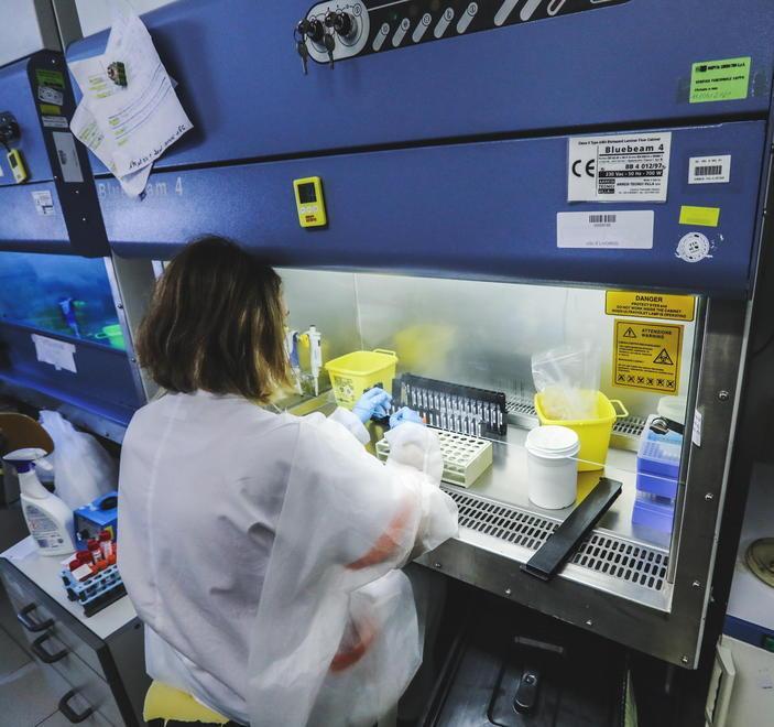 Montecarlo rimane arancione ma il tasso ha toccato quota 614